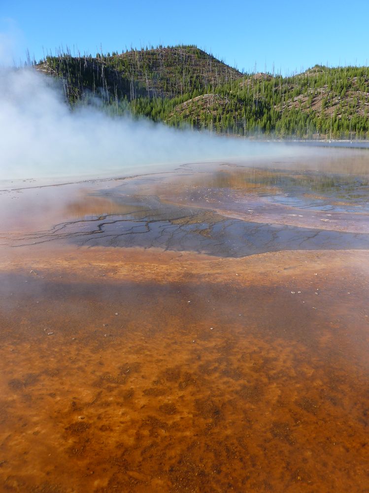 Yellowstone Midway Geyser Basin Grand Prismatic Spring (16).JPG